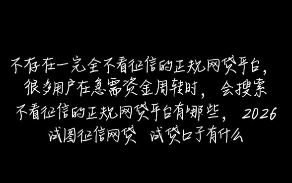 2026不看征信网贷口子有哪些