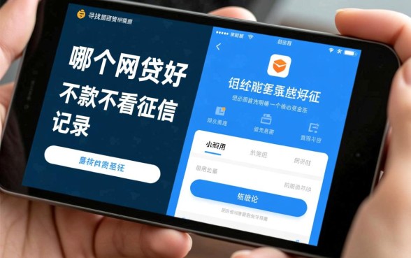 哪个网贷好下款不看征信记录
