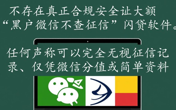 2026黑户不查征信秒下款口子