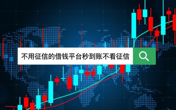 2026年不看征信的贷款哪里借