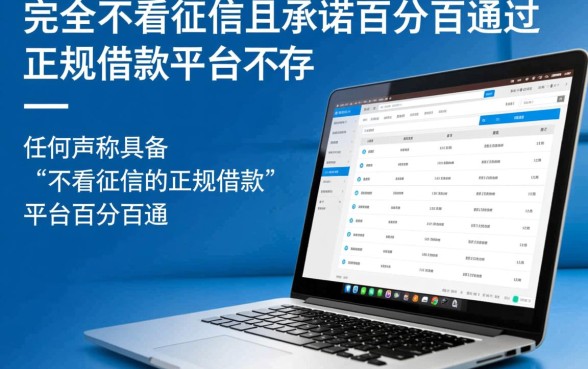 不看征信的正规借款平台百分百通过吗