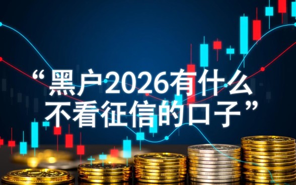 黑户2026有什么不看征信的口子