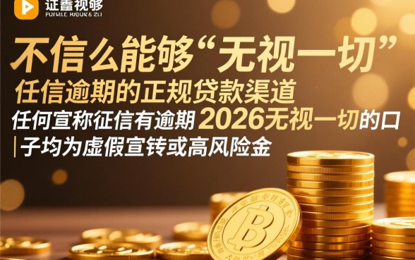 征信有逾期2026无视一切的口子