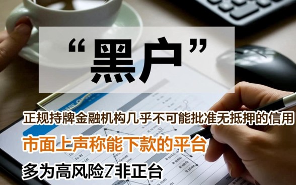 黑户都有哪些小贷款平台可以贷款