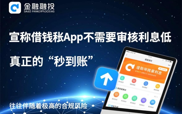 有没有不需要审核利息低的