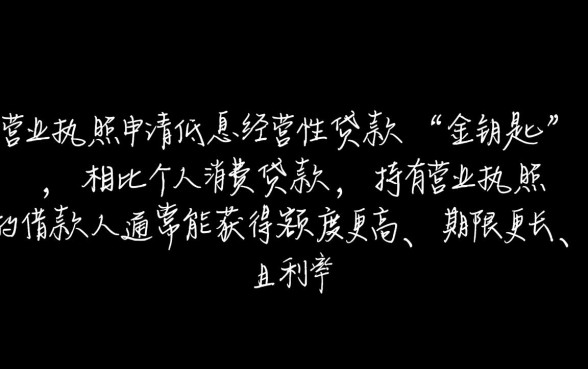 有营业执照能做哪些贷款