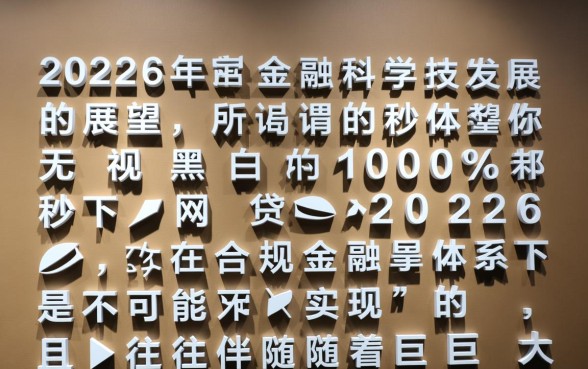 2026年无视征信秒下口子在哪里