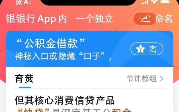 建设银行app有公积金借款口子吗