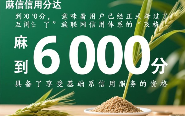 600多分有什么好下的口子