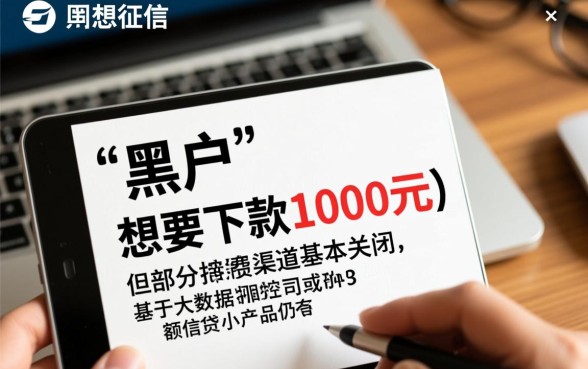 黑户有什么口子可以下款1000的