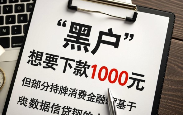 黑户有什么口子可以下款1000的