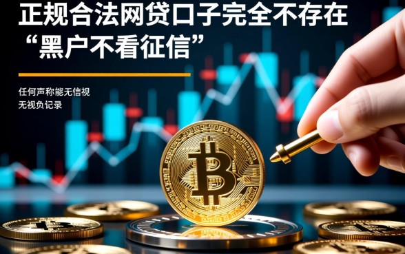 2026黑户网贷口子不看征信有吗