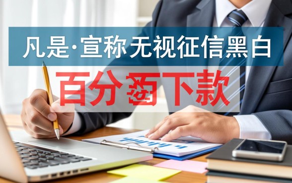 无视黑白的贷款口子202612月是真的吗