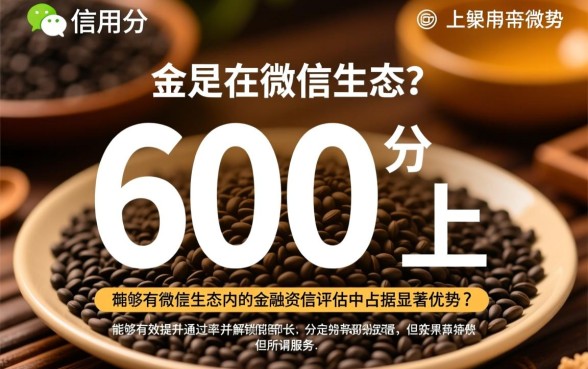 芝麻600分以上无视黑白微信口子怎么申请