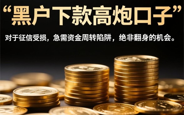 黑户下款的高炮口子是骗局还是机会