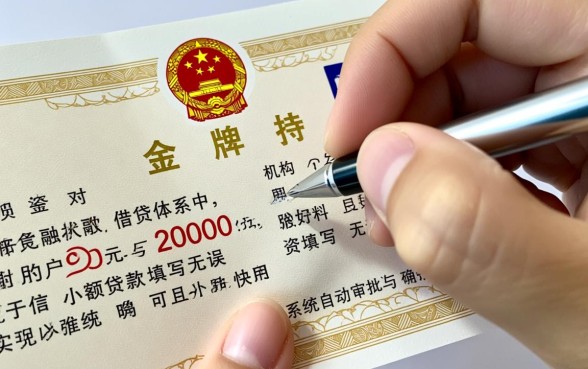 小额贷款2000元真的能秒下款吗