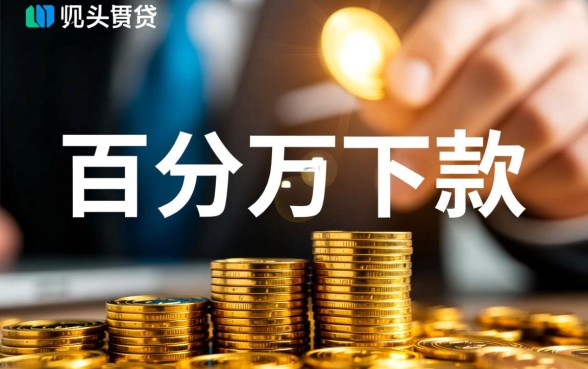 为何这些网贷平台声称百分百下款