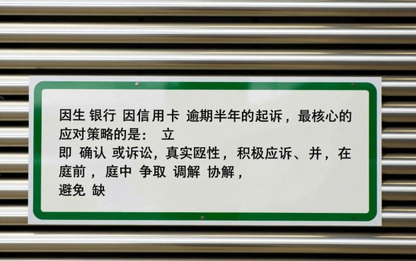 民生信用卡逾期半年被起诉怎么办