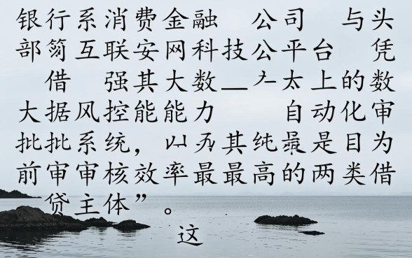 哪些网贷在审核过程中更注重效率