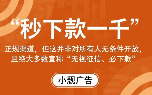 有没有真的可以秒下款一千的口子