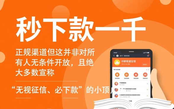 有没有真的可以秒下款一千的口子