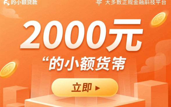 2000元的小贷可以立即到账吗