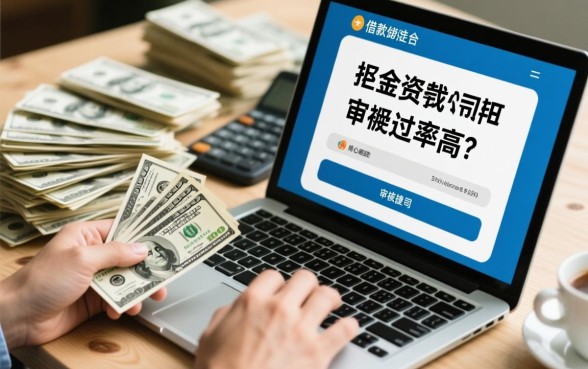 那家小额贷款公司审核通过率高吗