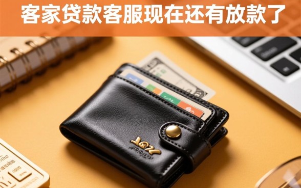 钱包到家贷款客服现在还有放款吗