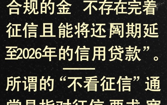 什么贷款不看征信2026年还款
