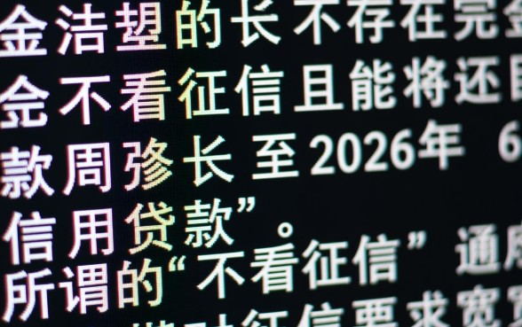 什么贷款不看征信2026年还款