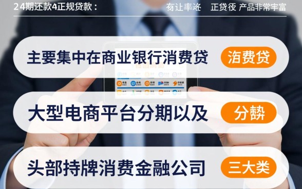 网上贷款怎么分24期还款