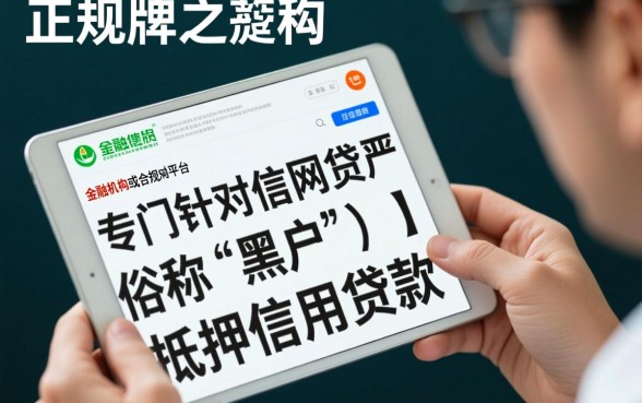 有哪些网贷可以给黑户下款的软件