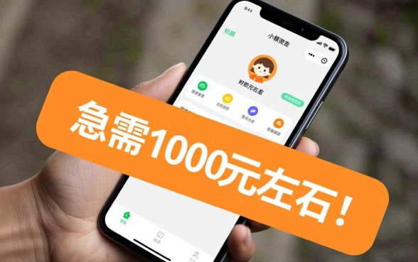 个人快速借钱1000能微信吗