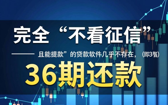 什么贷款软件不看征信36期还款