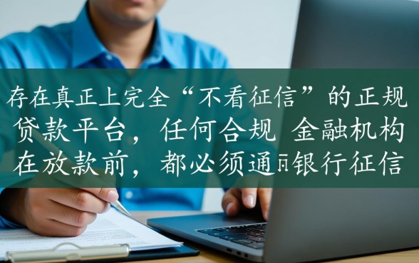 贷款软件不看征信的有哪些平台呢