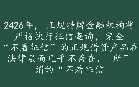 2026年不看征信的借贷有哪些