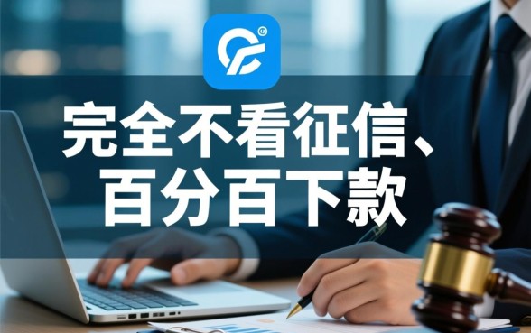 哪个能下款快还不看征信的平台