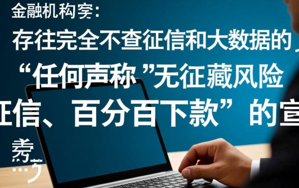 什么贷款不查征信不看大数据记录