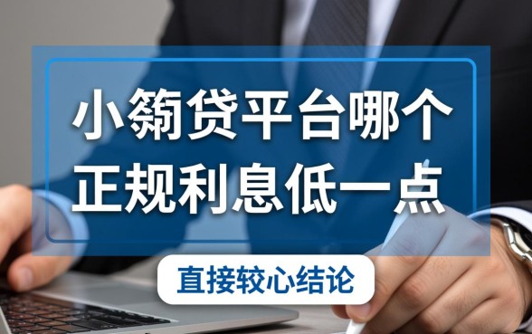 小额网贷平台哪个正规,利息低一点的平台有哪些 利息低一点的平台有哪些