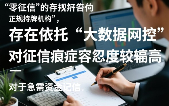 不看信用分的小额贷款平台有哪些