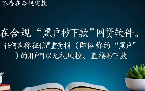 黑户可以秒下款的网贷软件有哪些