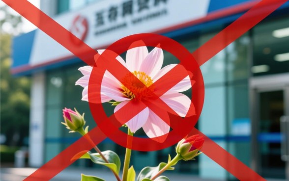 2026年不看征信的贷款平台有哪些