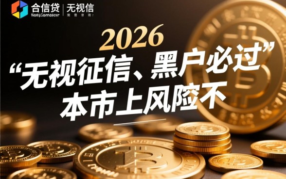 2026黑户必过口子有哪些