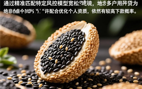 芝麻分4未知未知分必下款的口子