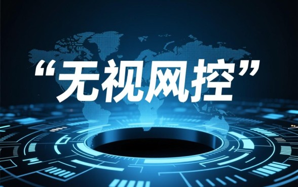 无视风控稳下的口子2026链接