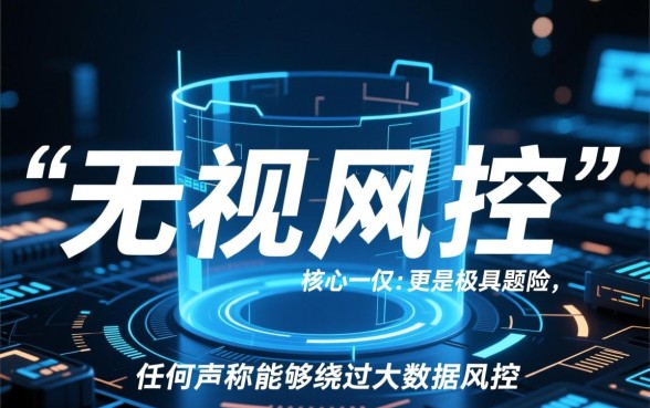 无视风控稳下的口子2026链接