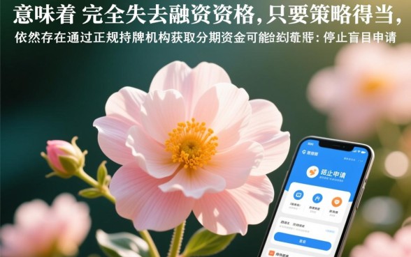 征信花求一个能分期下的口子救命