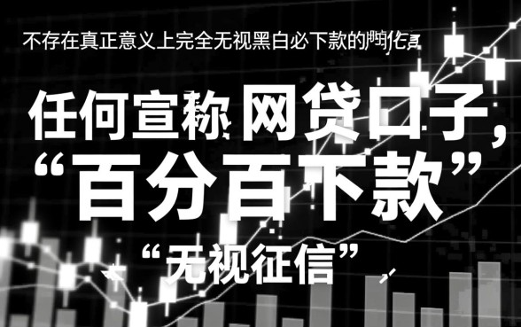 无视黑白必下款的网贷口子有哪些