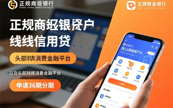 什么借款平台最好借款通过36期