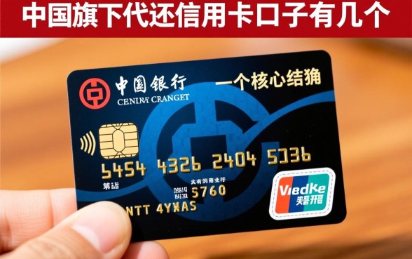 中银旗下代还信用卡的口子有几个